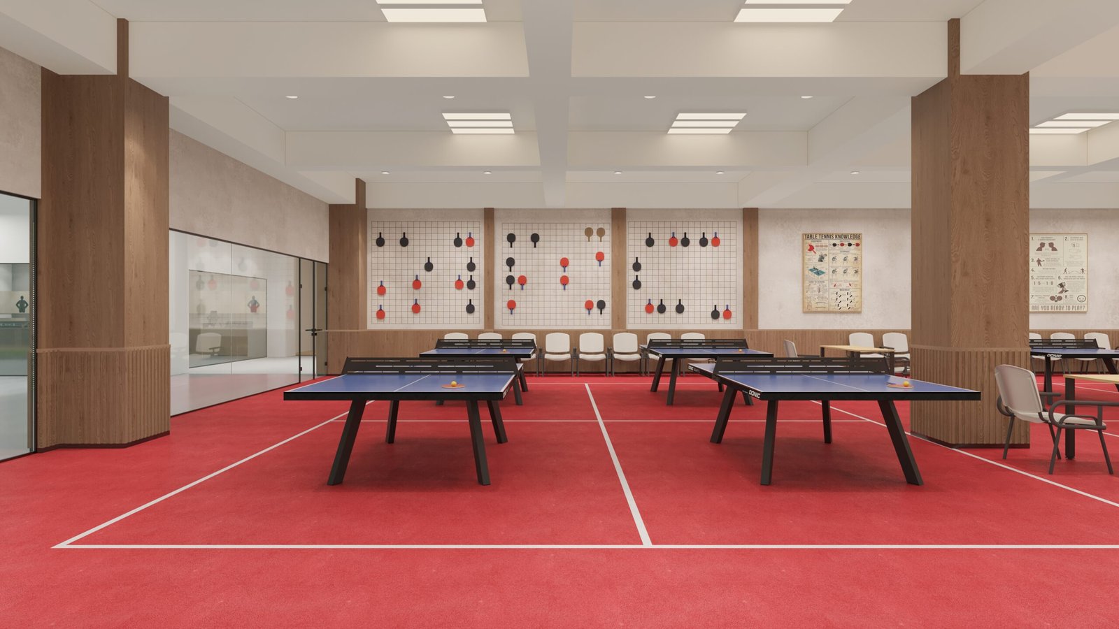 table tennis view (4)